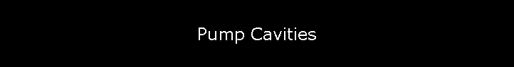Pump Cavities